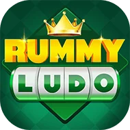 Rummy 51 Bonus App New